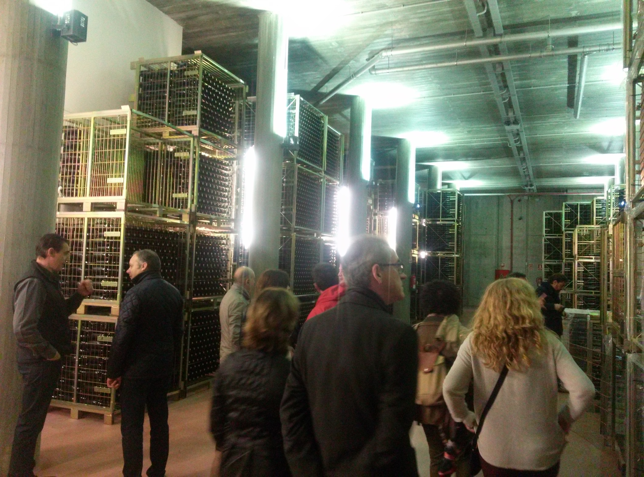 Husmeando por la bodega...