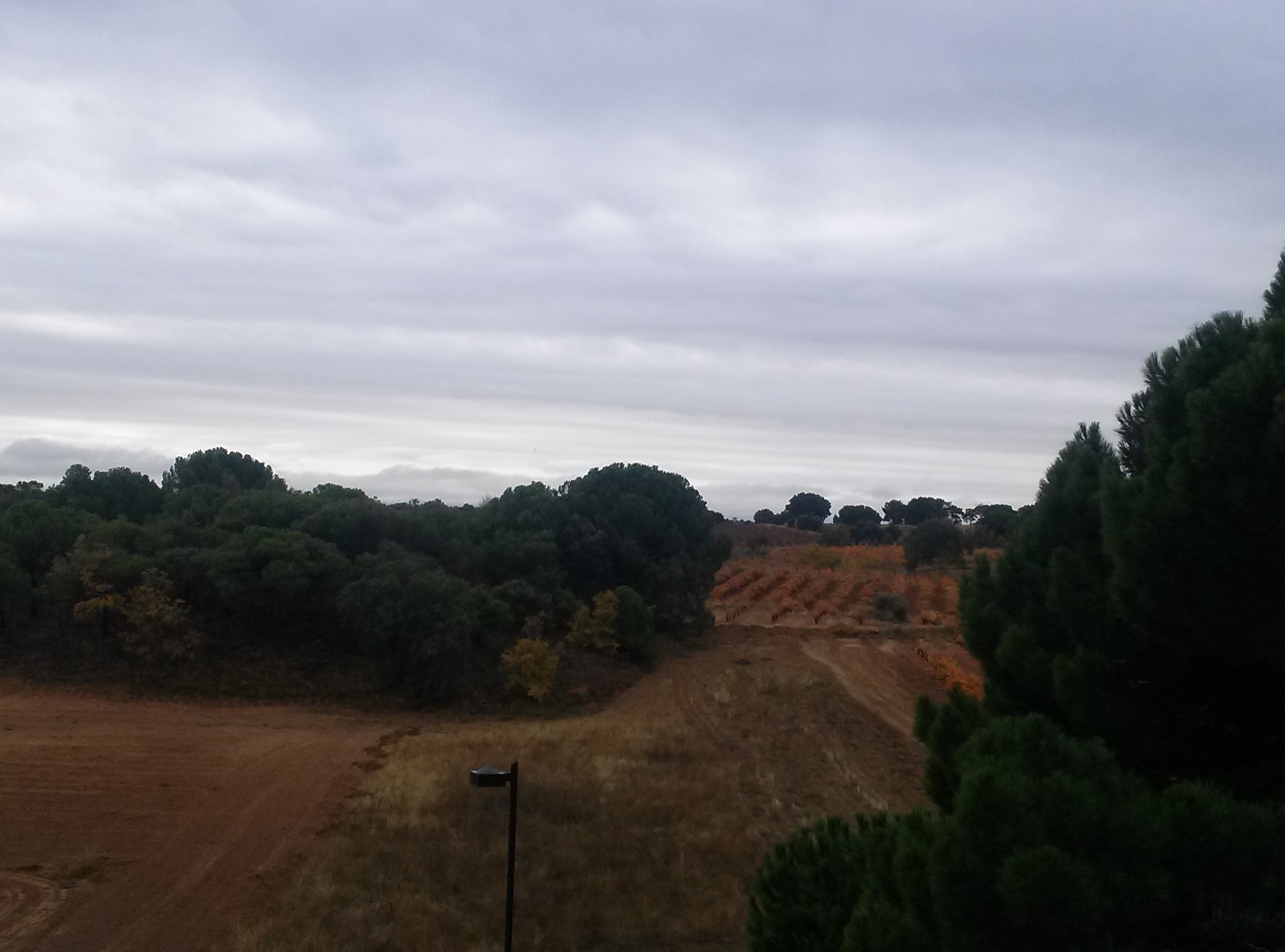 Vistas de después de comer