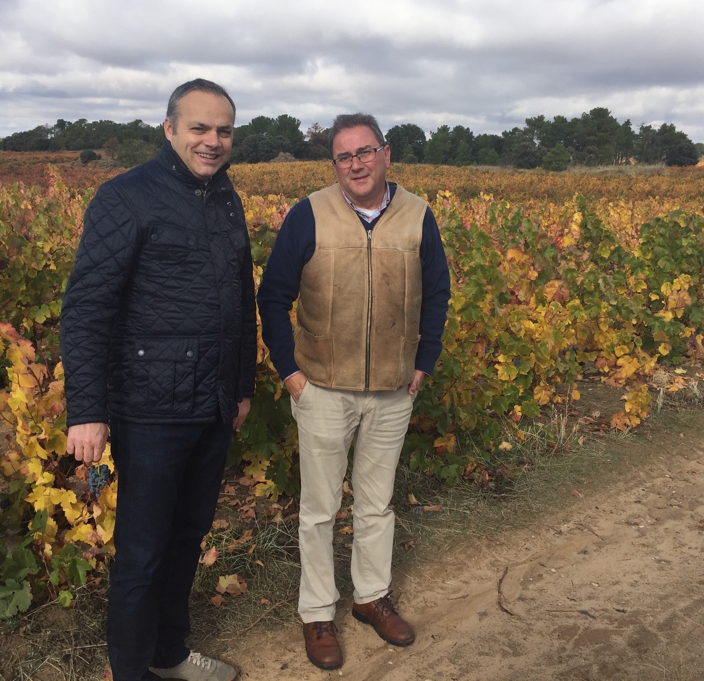 Visitando el viñedo con Goyo 