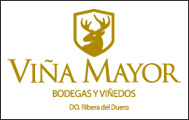Bodegas y Viñedos Viña Mayor Logotipo