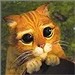 J-Carlos