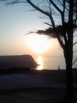 jacomur
