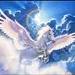 Pegaso2