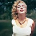 Noser
