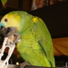Mercurio2