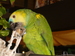 Mercurio2