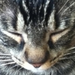 Nusumi