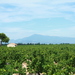 Inaki_Avignon