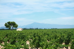 Inaki_Avignon