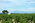Inaki_Avignon