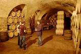 Bodega Juanico de Uruguay