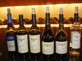 Muestras en bodega Lapostolle