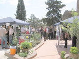 El ambiente en el Tast amb Llops