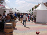 Panorámica