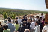Vista del viñedo desde el mirador