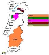 Mapa vinícola de Portugal