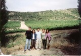 Los viñedos de Puelles