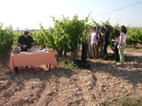 Cata en Cavas Nadal