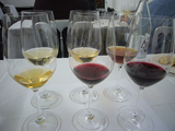 Wines tasted at the seminar