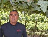 Gerardo Mendez