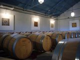 The Ageing cellar at Alonso del Yerro