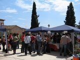 Ambiente del tast en 2007 (1)