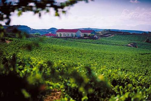 bodega luis cañas vino mejor precio mundo