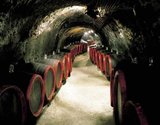 Barricas de Tokaji en Bodega