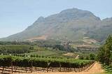 Stellenbosch