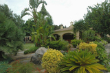 Vista Bodegas Enrique Mendoza