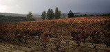 Archivo Bodegas R. Lopez de Heredia