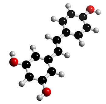 resveratrol en vino salud