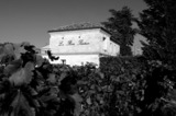 Le Bon Pasteur (Pomerol)