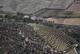 La bodega y el viñedo como recurso turístico