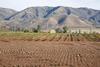 Viñedos_sur_de_ensenada_thumb