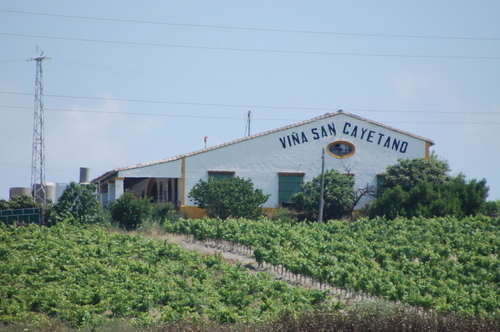 Restaurante Viña San Cayetano Viña San Cayetano