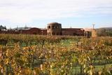 Bodega Vinisterra