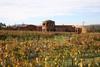 Bodega_vinisterra_thumb