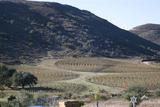 Viñas en Círculo