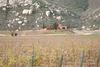 Bodega_villamontefiori_thumb