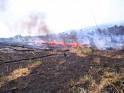 Incendio forestal