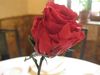 Img_2858_thumb