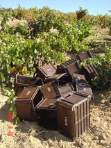 Viñedos en Roda