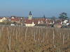 Borgo02_thumb