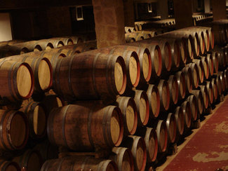 Barricas-en-la-bodega-torre_logo