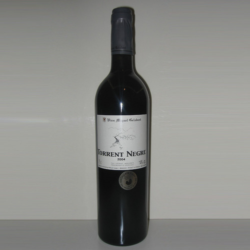 Torrent_negre_04