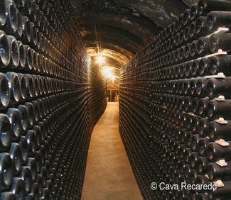 Interior Bodega Cava Recaredo