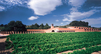 Espléndida vista de los viñedos y cava Josep Maria Raventós i Blanc