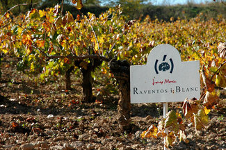 Viñedos Josep Maria Raventós i Blanc