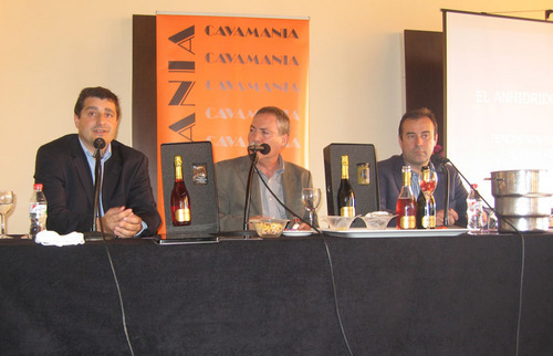 cava solid agusti torello